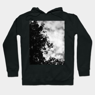 High Contrast Maple Hoodie